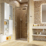 Душевая дверь WASSERKRAFT SALM 27I12 100 см